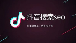 抖音seo帝搜軟件最強技術（disou123帝搜軟件抖音排名）