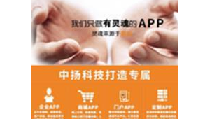 二手電商網站開發軟件哪個好(二手電子商城)