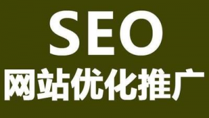 網(wǎng)址優(yōu)化推廣(網(wǎng)站推廣優(yōu)化是什么意思)