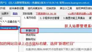 站群 網站 區別