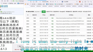 d58站群官網（dz站群軟件）