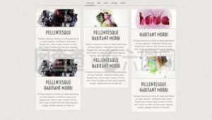 網站色彩軟件哪個好(網站色彩設計)