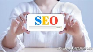 seo搜索排名優化(seo排名優化什么意思)