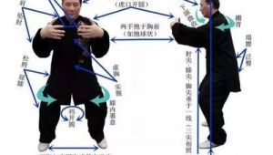 如何加入站樁養生群聊（哪里有站樁培訓班）