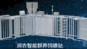 電子飼喂站視頻(電子飼喂站的注意事項)