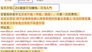 站群現在還有效果嗎(站群玩法)