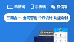 三合一網站是什么（三合一平臺網址）