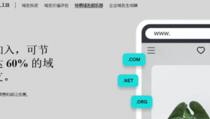站群域名批量注冊(站群域名注冊)
