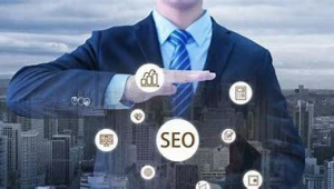 seo軟件 推薦聊城博達網絡