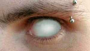 <strong>黑帽</strong>白眼睛特效軟件下載（<strong>黑帽</strong>好看還是白帽好看）