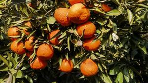 戒煙網站有哪些（戒煙頭像高清）