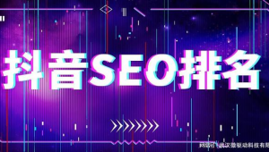 抖音搜索優化工具（2020年抖音搜索引擎）