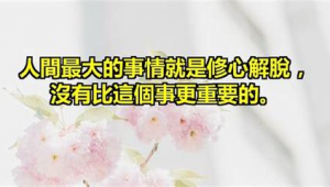 普寧網站優化排名軟件有哪些(普寧網批平臺都有哪些)