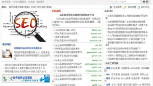 吉林seo推廣軟件有哪些(吉林網站推廣公司)