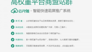 做站群如何賺錢(qián)（站群是什么）