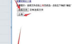 站群教程玩法_站群有什么用