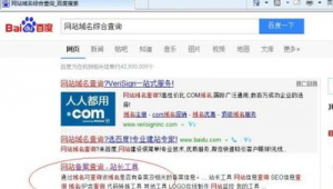 2021站群(站群效果怎么樣)