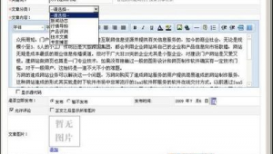網(wǎng)站文章撰寫（網(wǎng)站文章編輯器）
