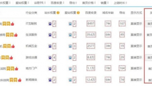 站群怎么盈利(站群賺錢模式)