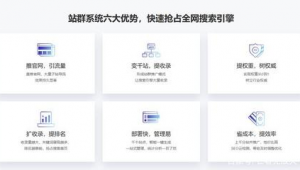 群站系統(tǒng)多少錢一個(gè)(站群系統(tǒng)哪個(gè)好用)