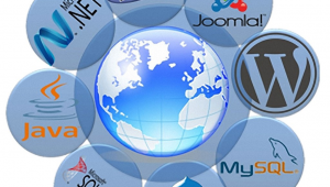 軟件開發和網站開發區別(軟件開發和網頁開發)