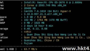 站群服務(wù)器配置(站群服務(wù)器租用)