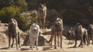 孤身一人下一句（孤身一人戰群狼下一句）