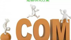 群站seo(站群工具)