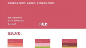 網(wǎng)站配色方案設(shè)計(jì)(網(wǎng)站的配色方案)