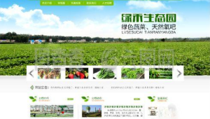 探索軟件生態(tài)網(wǎng)站：匯聚多樣軟件，開啟精彩數(shù)字世界之旅