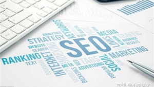 相關搜索樂云seo（樂云seo排名）