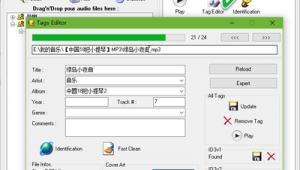 一條龍圖標的網站軟件叫什么(一個龍的圖標是什么軟件)
