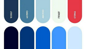 美的網站配色軟件有哪些(美的網站配色軟件叫什么)