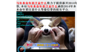 網絡紅人龍少的資料(b站龍少是誰)