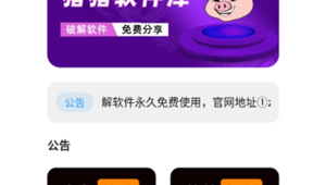 豬豬軟件庫網站版（豬豬軟件園）