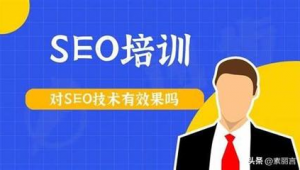 廣州seo快速優化軟件有哪些（廣州seo站內優化）