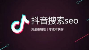成都抖音seo軟件公司(抖音seo是指什么意思)