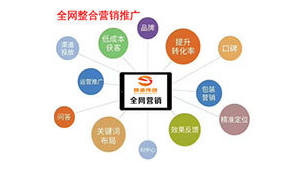 成都網絡seo公司(四川seowhy整站優化)