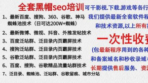 <strong>黑帽</strong>seo易下拉軟件三