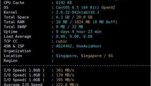 站群服務(wù)器租用(站群服務(wù)器能建多少個(gè)網(wǎng)站)