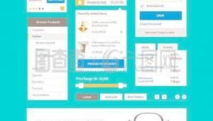 網站常用模板軟件有哪些(網站模板程序)