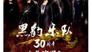 黑豹vpz（黑豹團(tuán)隊(duì)）