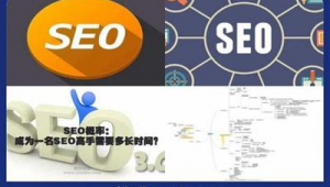 seo軟件視頻教程(seo軟件排名)