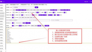 什么站群什么四字成語(站群賺錢嗎)