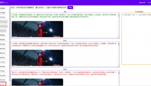 網站seo軟件能優化（最新seo網站優化教程）