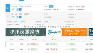 搭建分站泛解析(什么叫泛解析)
