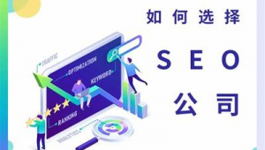 seo的未來_seo未來發(fā)展的趨勢(shì)