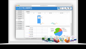 成都大新軟件(大新制作是什么)