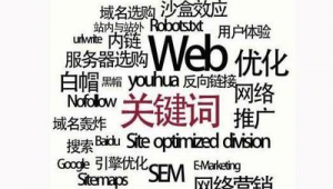 seo推廣軟件<strong>黑帽</strong>白帽區(qū)別（seo<strong>黑帽</strong>怎么賺錢）