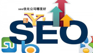 網站優化公司網絡服務方案_網站優化公司實力排名